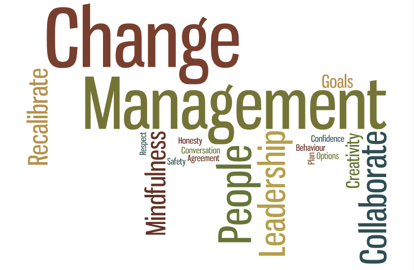 change management certification